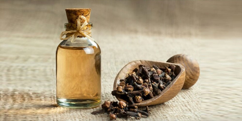 Clove Oil | Trade India Exports & oils Pvt.Ltd - Ooty